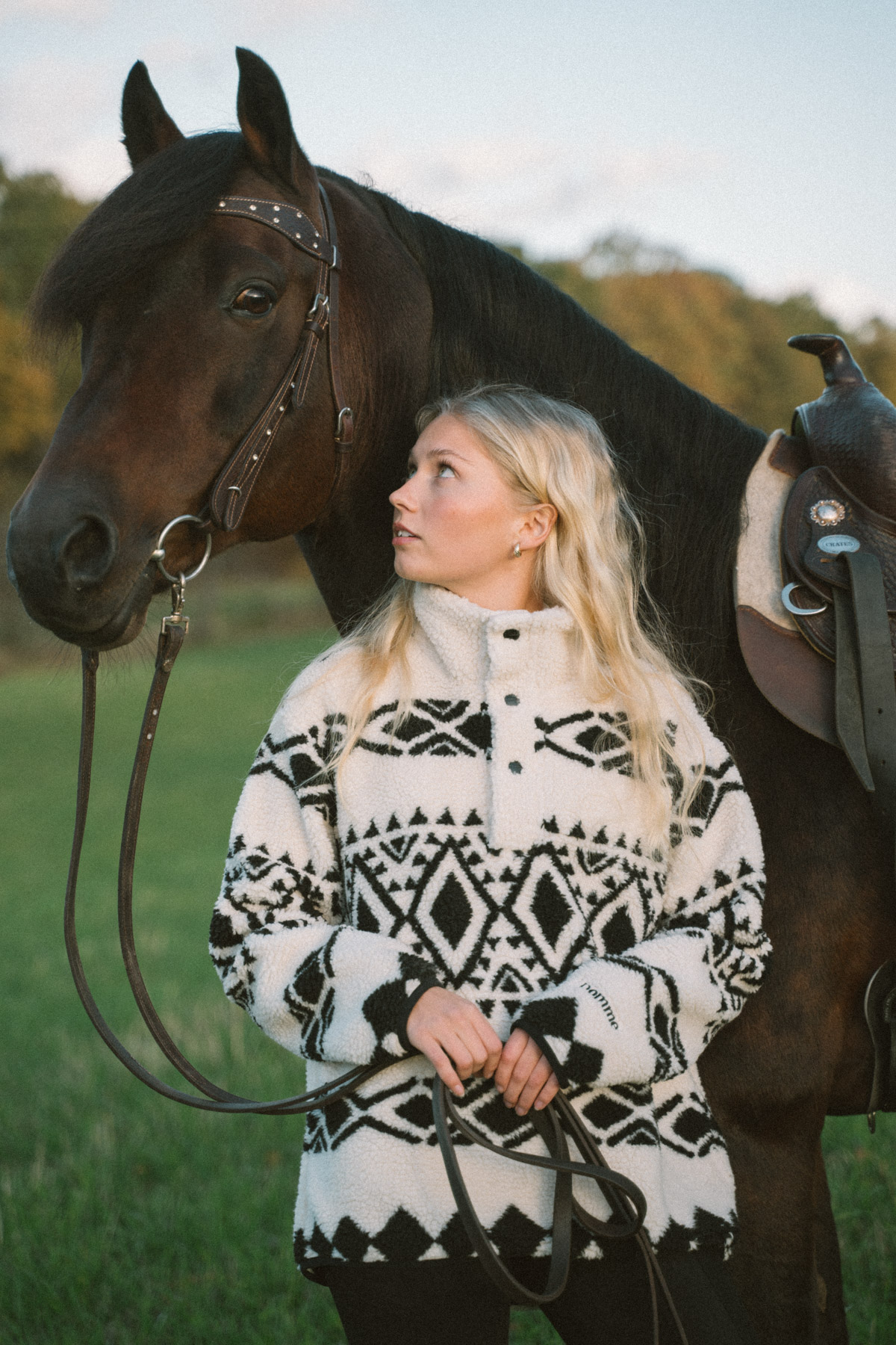 Dakota Shirt, Turtledove